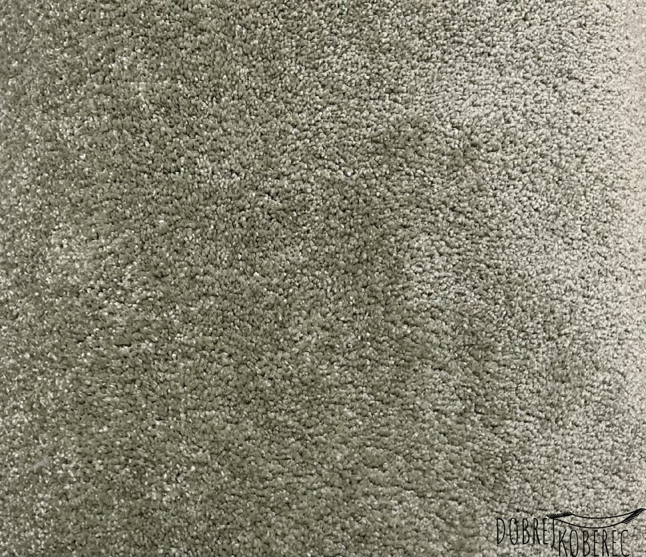 Foto - Metrážový koberec Evora 450